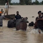 punjab flood 2025